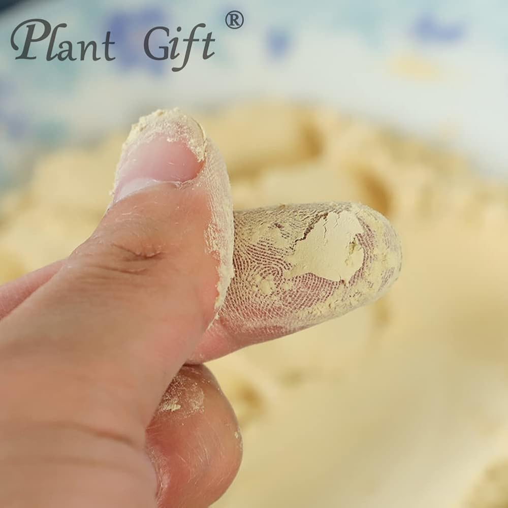 Plant Gift Hericium Erinaceus Powder - 100g - image 4