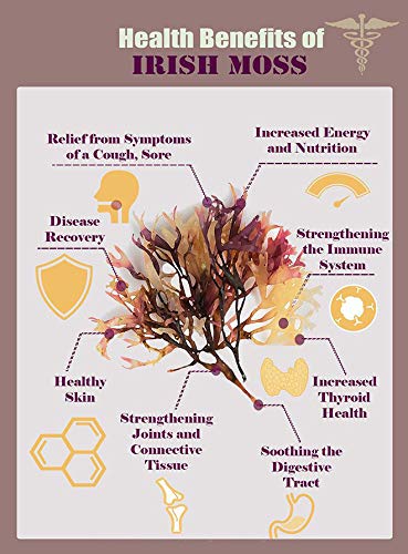 Nature Of Love Sea Moss Irish Capsules - 100 Capsules - image 4