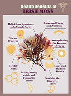 Nature Of Love Sea Moss Irish Capsules - 100 Capsules - image 4