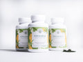 MSV Wellness Broken Cell-Wall Chlorella 100% Pure Organic