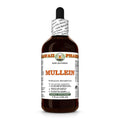 Hawaii Pharm Mullein (Verbascum densiflorum) Leaf Alcohol-Free Extract