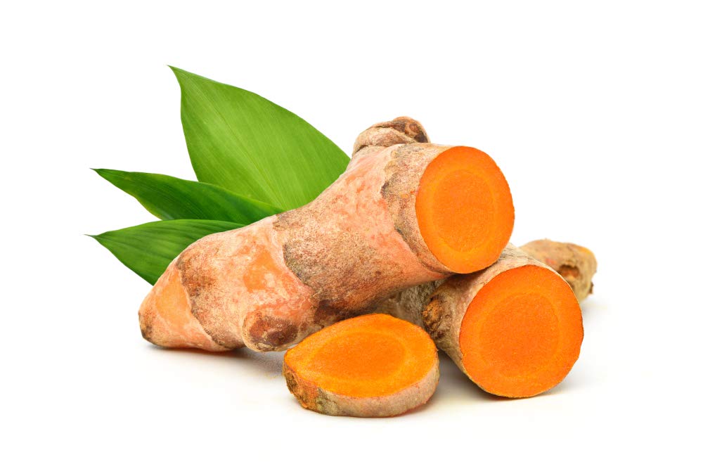 Cedar Bear Naturales Turmeric Root Liquid Herbal Supplement - 1 Fl Oz - image 3