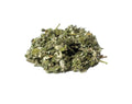 CircuitOffice Raspberry Leaf Cut - 2 oz