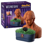 Chia Pet Wednesday Terracotta Planter with Seed Pack - image 6