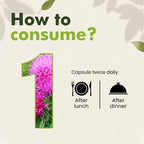 Milk Thistle Extract 800mg Silymarin for Liver Support - 30 Vegetarian Capsules - image 3