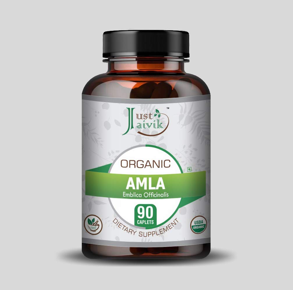 Just Jaivik Organic Amla Tablets Vitamin C - 90 Tablets - image 2