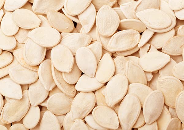 Unpretentious Pumpkin Seed Protein Powder - 1.5 Lb - image 3