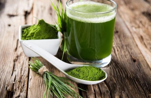 bodi : Blue Green Algae AFA Powder