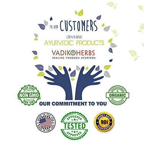 Vadik Herbs Mahasudarshan Powder - 100 Vegetarian Capsules - image 3