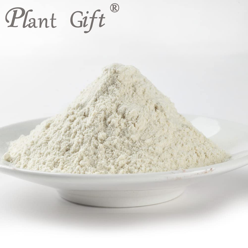 Plant Gift 100% Pure Euryales Powder - 100g - image 2