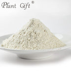 Plant Gift 100% Pure Euryales Powder - 100g - image 2
