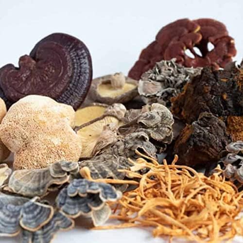 Earthborn Products Organic Mushroom Blend - 14 Species - 2 oz - image 3
