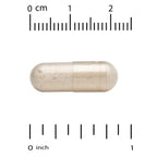Lake Avenue Sunflower Phosphatidylserine 100 mg - 120 Vegetarian Capsules - image 4