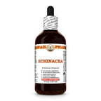 Hawaii Pharm Echinacea Root Liquid Extract - 4 fl oz, 15-Pack - image 2