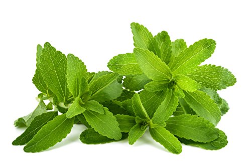 Nature Tea Stevia Leaf - Stevia rebaudiana Loose Leaf c/s 100% from