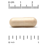California Gold Nutrition Reishi Mushroom 600 mg - 90 Vegetarian Capsules - image 3