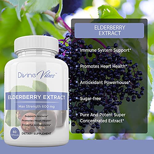 Divine Vibes Black Elderberry Capsules Max Strength - 60 Count - image 2