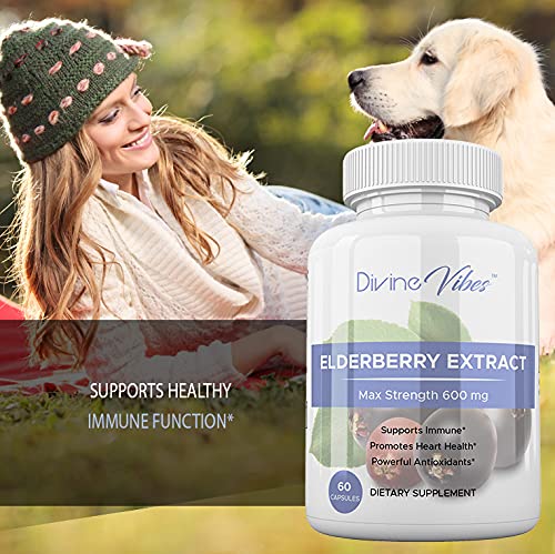 Divine Vibes Black Elderberry Capsules Max Strength - 60 Count - image 3