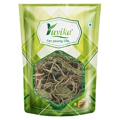 Yuvika Brahmi Booti Gotu Kola Powder - 100 Grams