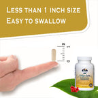 TAIGASEA Schisandra Chinese Herbal Extract for Mental Focus - image 4