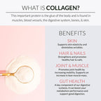 Alaya Naturals Multi Collagen Powder 5 Types with MSM - 20 Servings - image 4
