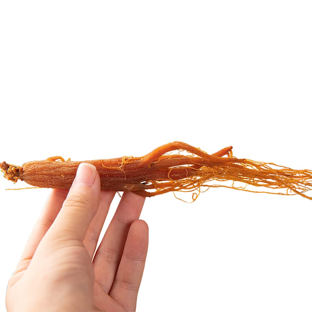 Generic Red Ginseng Roots Whole Root Pieces - 100 Grams - image 2