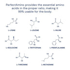 BodyHealth PerfectAmino XP Mixed Supplement