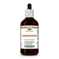 Hawaii Pharm Umckaloabo (Pelargonium sidoides) Root Alcohol-Free