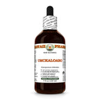 Hawaii Pharm Umckaloabo (Pelargonium sidoides) Root Alcohol-Free
