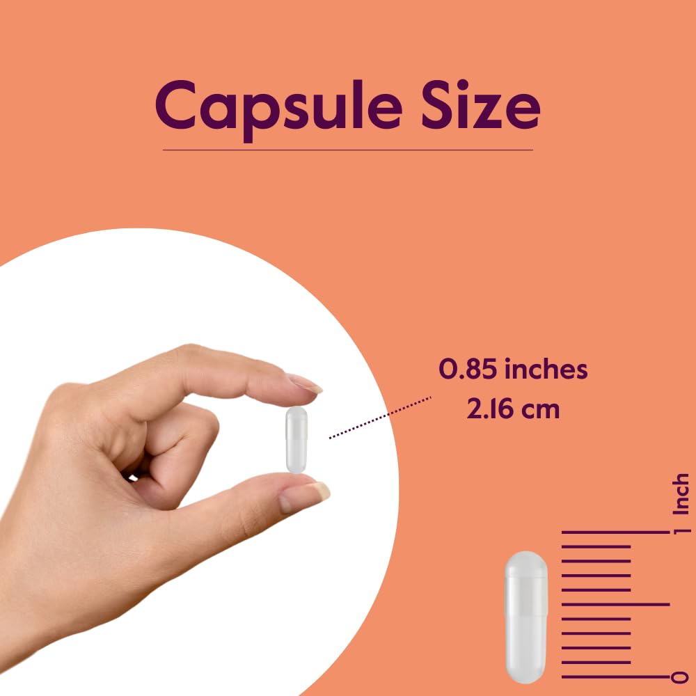 BESTVITE L-Carnosine 500mg - 240 Capsules - image 6