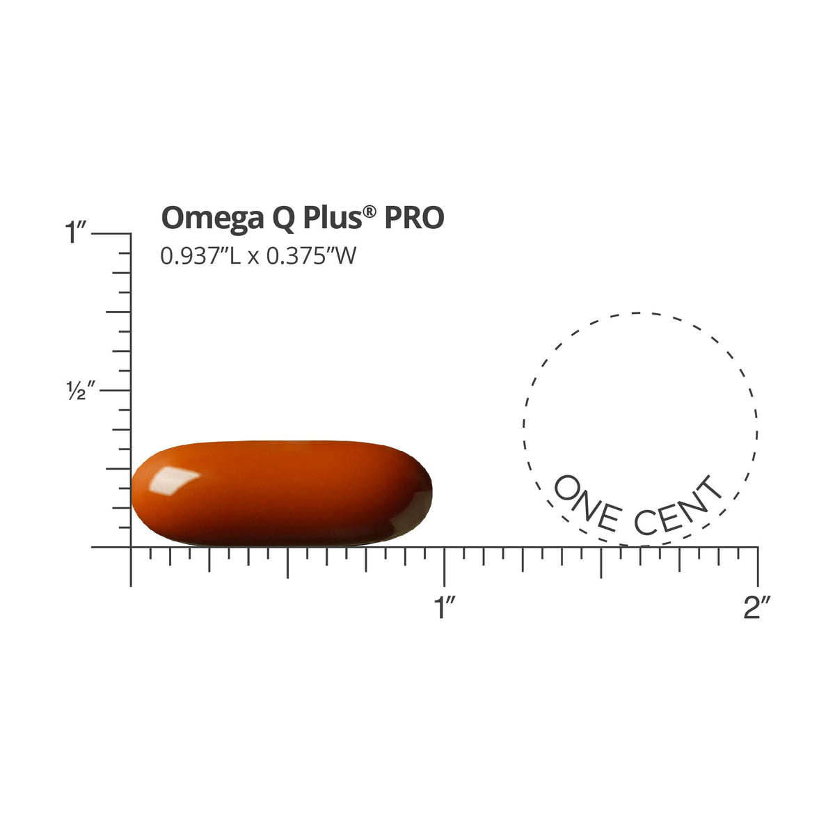 Dr. Sinatra Omega Q Plus PRO CoQ10 200mg Cardiovascular Support - 90 Softgels - image 3