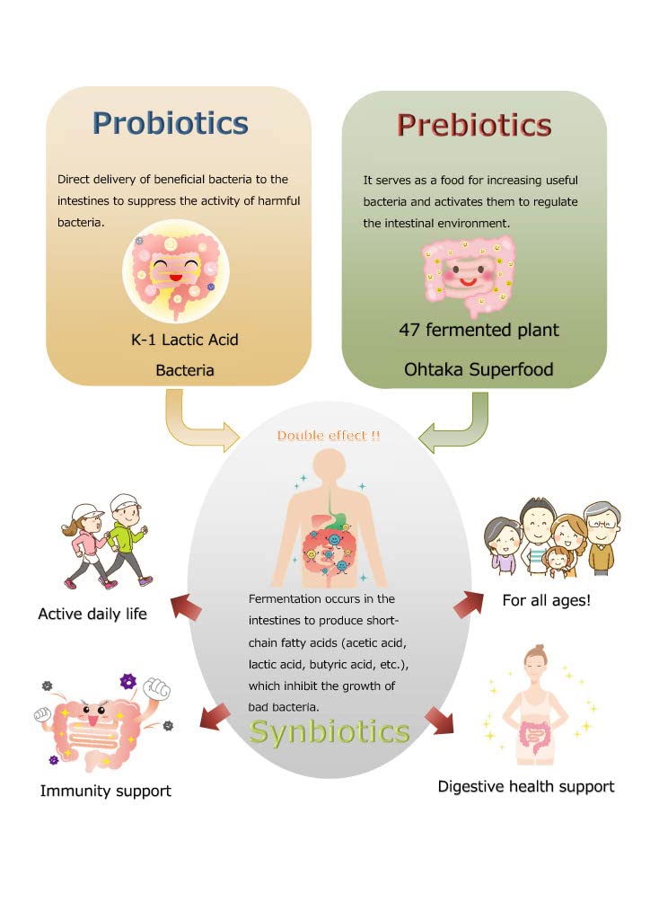 SynB 100 Billion CFU Probiotic with 47 Fermented Plants - 60 Capsules - image 3