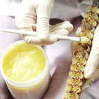 Prairie River Honey Farm Pure Royal Jelly - 5 oz Jar - image 3