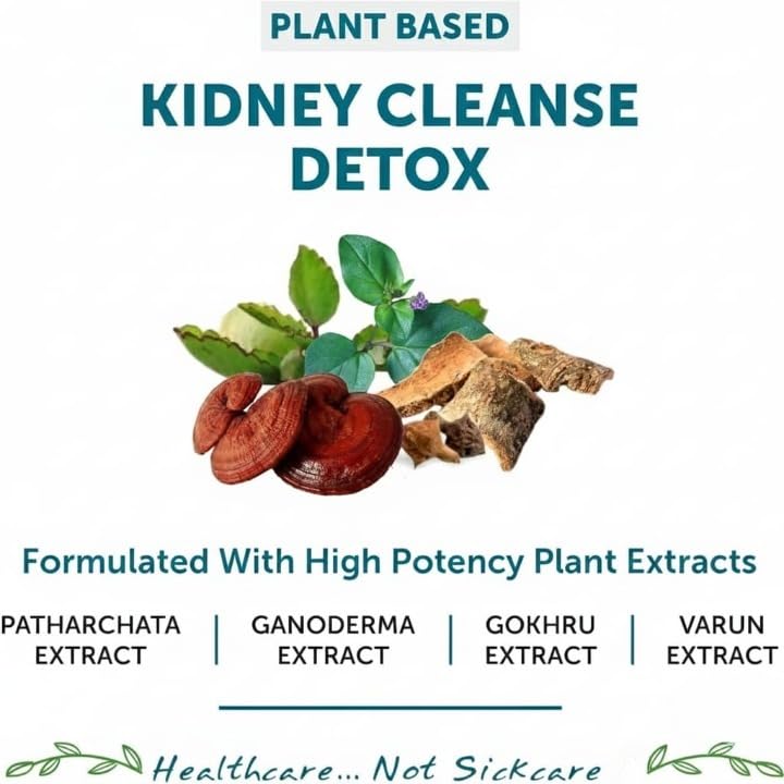 Kidney Detox Ayurvedic Supplement with Punarnava - 60 Vegetarian Capsules - image 3