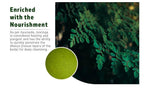 WAY 4 ORGANIC W4O Moringa Leaf Powder Capsules - 300 Pills - image 8