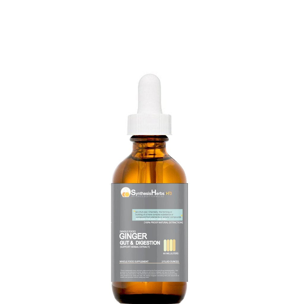 SYNTHESIS HERBS Ginger Gut & Digestion Premium Liquid Extract - 2 Fl Oz
