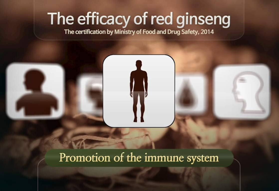 Xebec Korean Red Ginseng 300mg - 200 Tablets - image 6