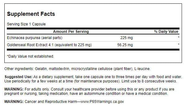 Swanson Echinacea with Goldenseal Root Immune Support - 250 Capsules - image 2