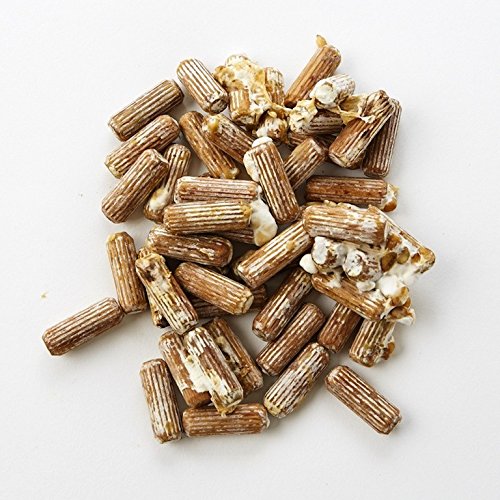 2funguys Lion's Mane Dowel Spawn - 100 Count - image 3