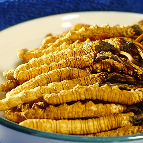 Generic Cordyceps Sinensis Wild Himalayan Whole - 6g