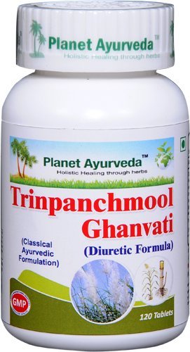 Planet Ayurveda Trinpanchmool Ghanvati Tablets - 240 Count - image 2