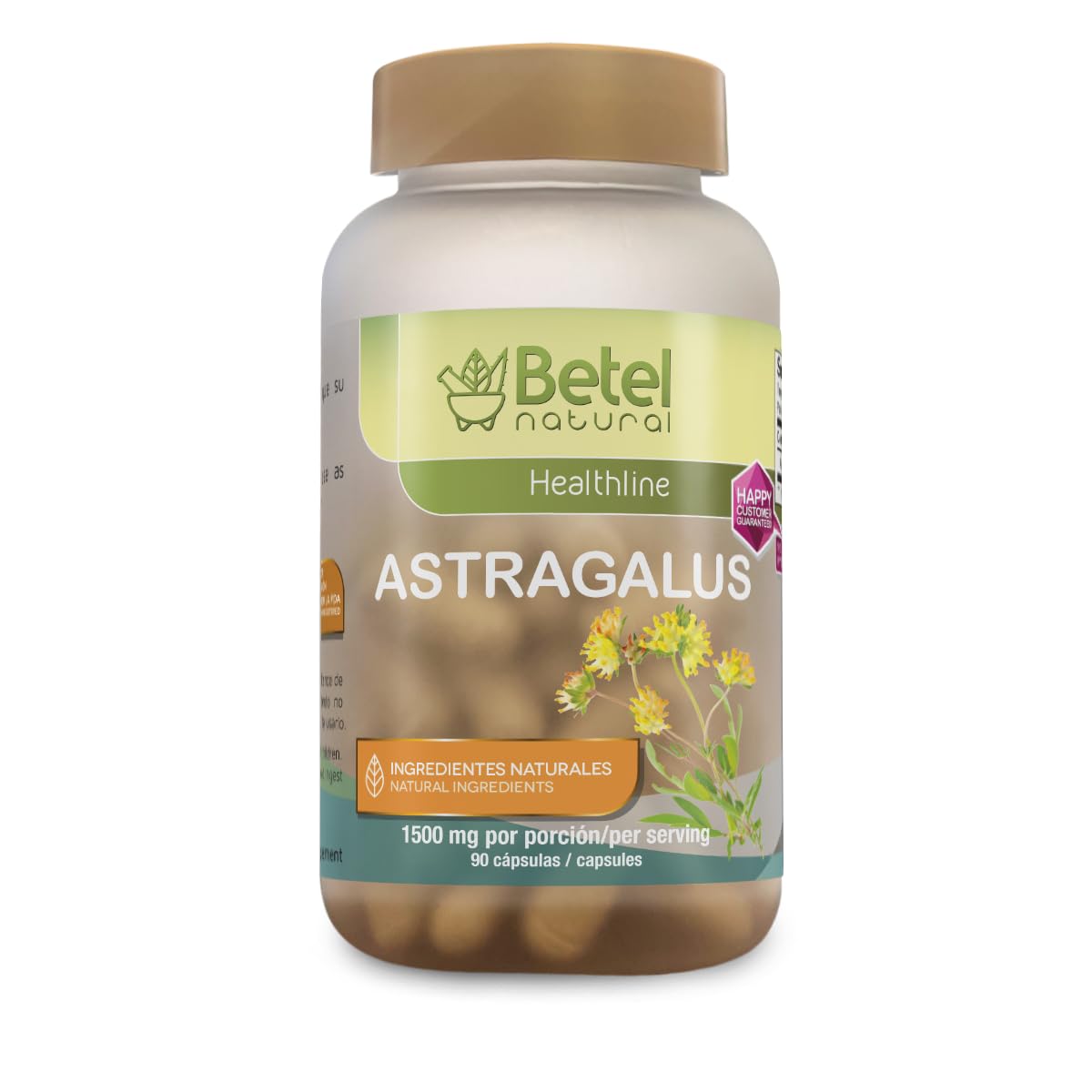 Betel Natural Astragalus Herb Extract Immune Support - 90 Capsules