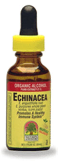 Nature's Answer Echinacea 1:1 Extract Immune Support - 4 oz