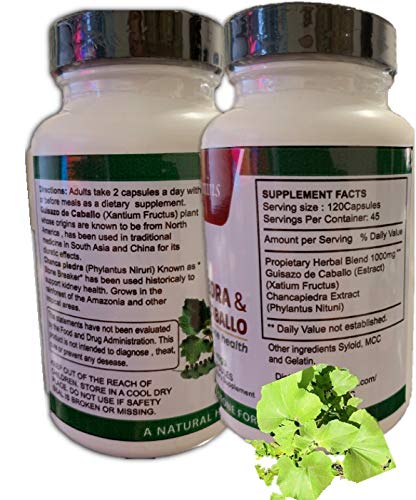 Chanca Piedra & Guisazo De Caballo Blend - 120 Capsules - image 2
