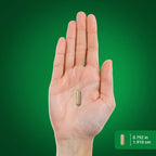 Piping Rock Ginkgo Biloba 120mg - 200 Capsules - image 7