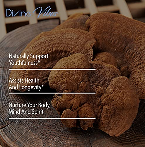 Divine Vibes Mushroom Supplement for Mental Clarity - 60 Capsules - image 4