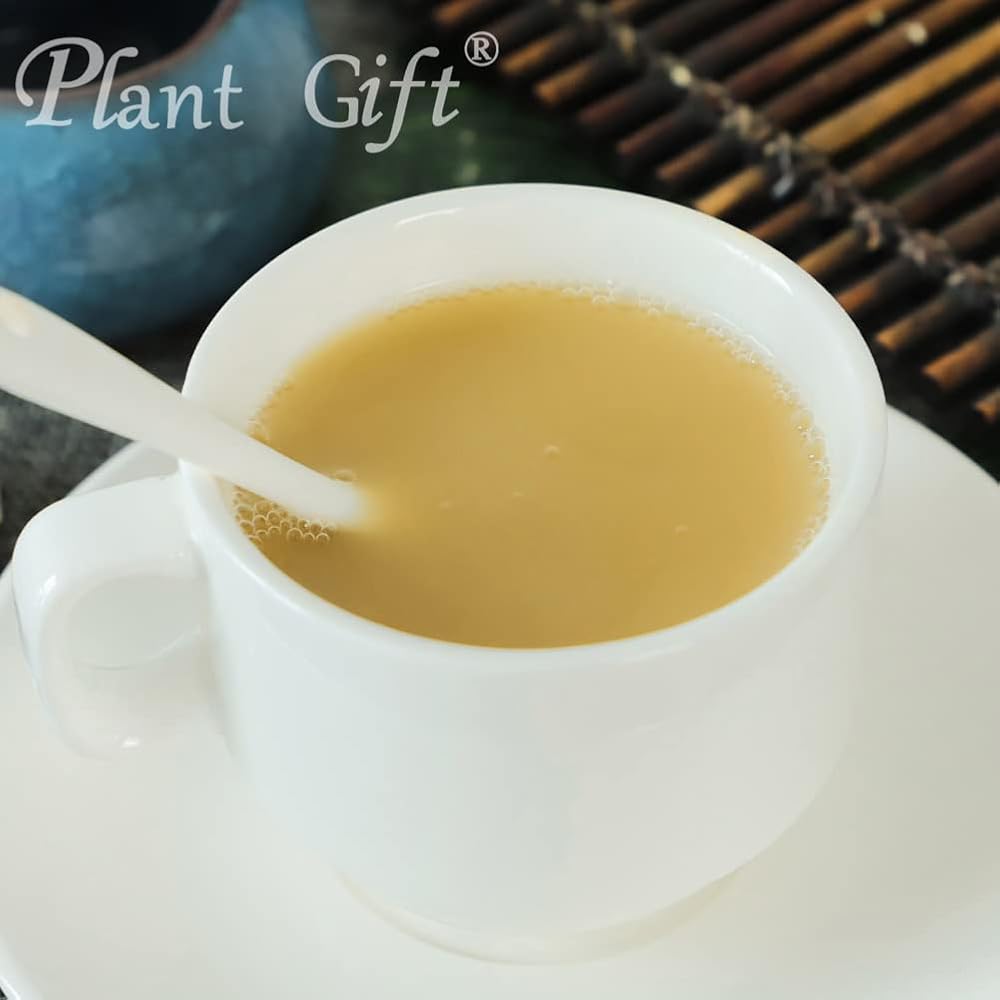 Plant Gift Hericium Erinaceus Powder - 100g - image 5