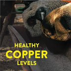 Redmond All Natural Sheep Mineral Supplement - 5 lbs - image 4