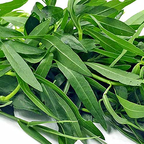 Foodherbs Ponnangani Powder - 200g - image 2