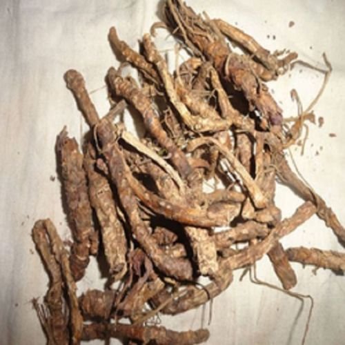Exportchef Kutki Root Picrorhiza Kurroa Whole - 250g